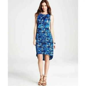 NWT Ann Taylor Filtered Blossoms Print Pleated Dress Color Blue Size 6T